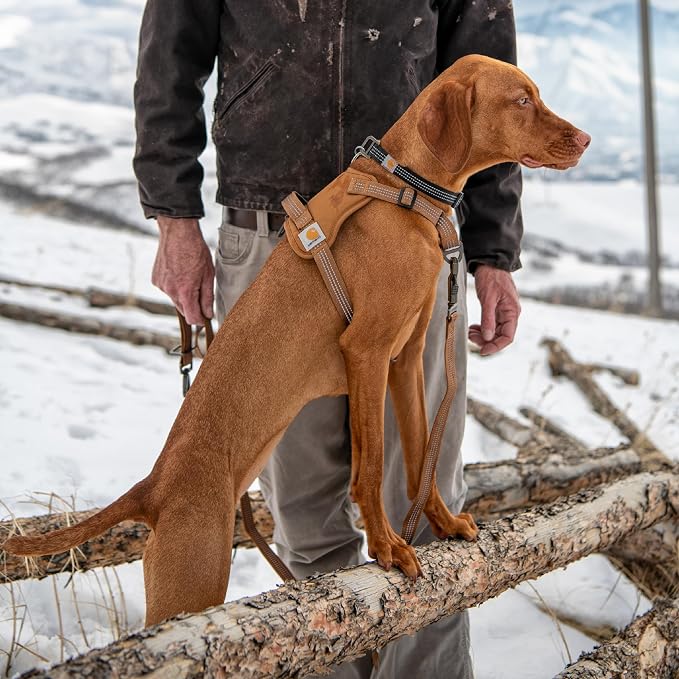Carhartt Nylon Duck No Pull Dog Harness Gravel M | Fully Adjustable Dog Harness with Quick Control Handle and Reflective Accents