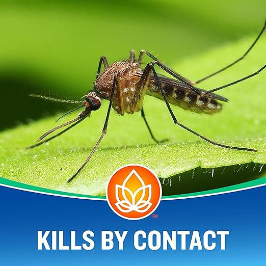 Cutter Essentials Bug Control Spray Concentrate, Kills Mosquitoes by Contact For Insects