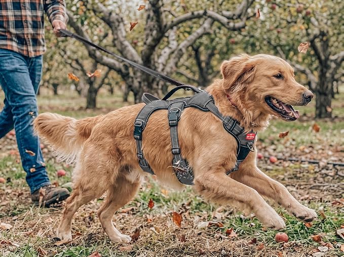 Tuff Pupper Escape Proof No Escape Dog Harness | 5 Point Adjustable Fit Harness for Dogs | Padded Dog Harnesses | Handle Dog Lift Harnesses