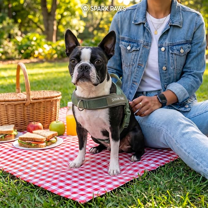Spark Paws No Pull Front Clip Dog Harness - Easy On, Padded and Lightweight | Two Clips, On in Seconds, Chest Bearing, Australian Style, No Throat Pressure, for Small Medium and Large Breeds