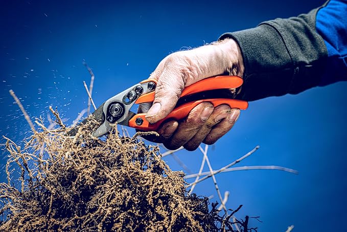 Original LÖWE Profi Bypass Pruner Garden Tools 11.107 | Light & Sharp Tree Pruner | Use As Garden Shears, Handheld, Pruning Shears for Gardening | For flowers, twigs & fruit trees | Made in Germany