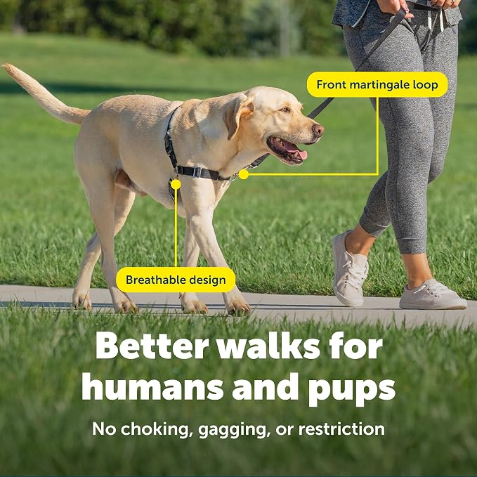 PetSafe Easy Walk Harness, No Pull Dog Harness, Teal, Medium | Patented Martingale Loop Gives Gradual Shoulder Pressure to Stop Pulling, Front-Chest Leash Clip Prevents Gagging