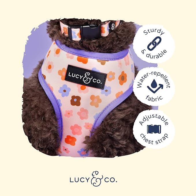 Lucy & Co. Reversible Dog Harness - Water-Repellent Neoprene, Dual-Print Design, Easy Swap Style, Adjustable Comfort Fit - Let's Groove Reversible Harness - X-Large