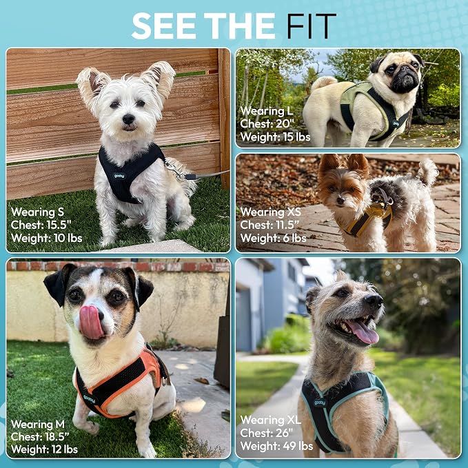 Gooby Escape Free Easy Fit X Step-in Dog Harness, Miami Yellow, Large | Patented escape-free, tightens on back-out; Choke-free X-frame + V-neck; Quick-release buckle; Reflective trim
