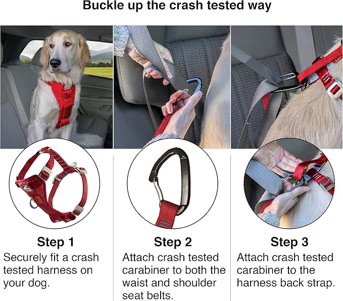 Kurgo Enhanced Strength Tru-Fit Dog Car Harness - Pet Travel Safety Harness - Crash Test Certified Fit - Five Point Adjustment - Secure Buckle - Padded Chest - Deep Violet - Large