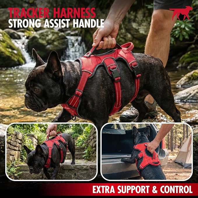 Tuff Pupper Tracker No Escape Dog Harness, Dual Attachment Points, Reflective 3M Stitching, XS - XL, March Red