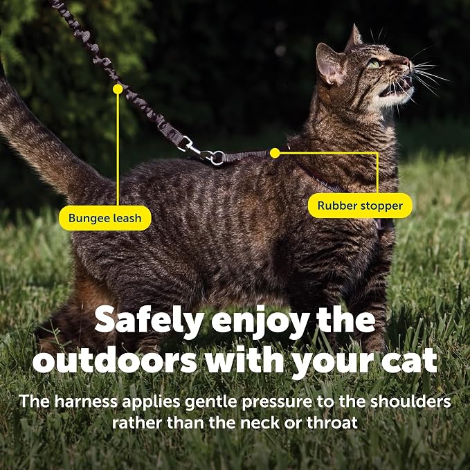 PetSafe Come With Me Kitty Harness and Bungee Leash, Harness for Cats, Large, Black/Silver, CWMK-L-BLK | Adjustable 2-Point Fit Applies Gentle Pressure to Shoulders, Not Neck, for Average and Large Cats with 13 in - 18 in Girth