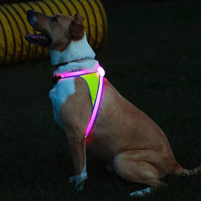 noxgear LightHound Light Up Reflective Dog Harness, Large | 360° Light Up Reflective Dog Harness, 8 Colors & 6 Modes, USB Rechargeable, Adjustable, Rainproof, LED Fiber Optic