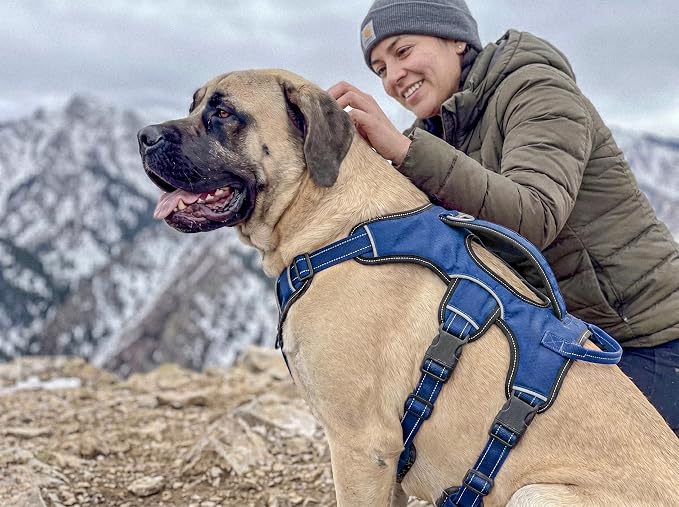 Tuff Pupper Escape Proof No Escape Dog Harness | 5 Point Adjustable Fit Harness for Dogs | Padded Dog Harnesses | Handle Dog Lift Harnesses