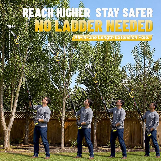 2-in-1 Cordless Pole Saw & Mini Chainsaw, 8-Inch Brushless Electric Tree Trimmer, 2 x 4.0Ah Batteries, Up to 16 Ft Reach, LED Light, Battery Powered Pole Saw for Tree Trimming & Branch Cutting