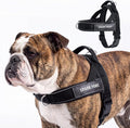 Spark Paws No Pull Front Clip Dog Harness - Easy On, Padded and Lightweight | Two Clips, On in Seconds, Chest Bearing, Australian Style, No Throat Pressure, for Small Medium and Large Breeds