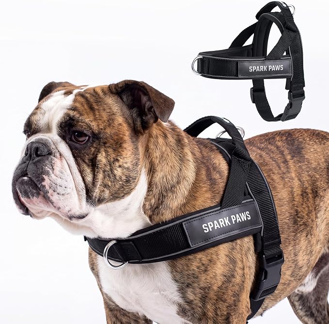 Spark Paws No Pull Front Clip Dog Harness - Easy On, Padded and Lightweight | Two Clips, On in Seconds, Chest Bearing, Australian Style, No Throat Pressure, for Small Medium and Large Breeds