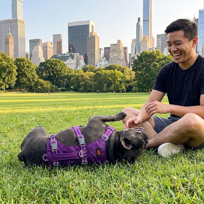 Tuff Pupper Escape Proof Dog Harness for Small Dogs | No Pull Lightweight Adjustable Harness | No Escape Multifunctional Outdoor Pet Gear | Strong Durable Breathable | Secure Comfortable Fit