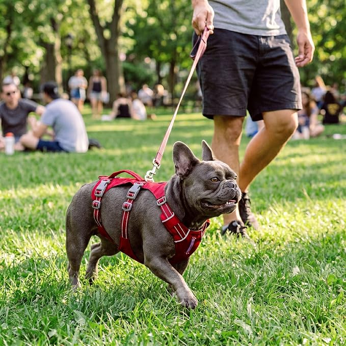 Tuff Pupper Escape Proof Dog Harness for Small Dogs | No Pull Lightweight Adjustable Harness | No Escape Multifunctional Outdoor Pet Gear | Strong Durable Breathable | Secure Comfortable Fit