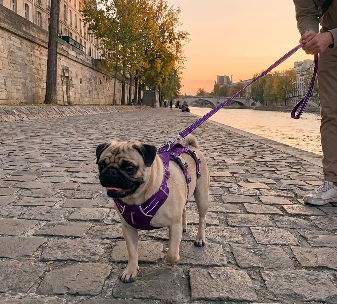 Tuff Pupper Escape Proof Dog Harness for Extra Small Dogs | No Pull Lightweight Adjustable Harness | No Escape Multifunctional Outdoor Pet Gear | Strong Durable Breathable | Secure Comfortable Fit