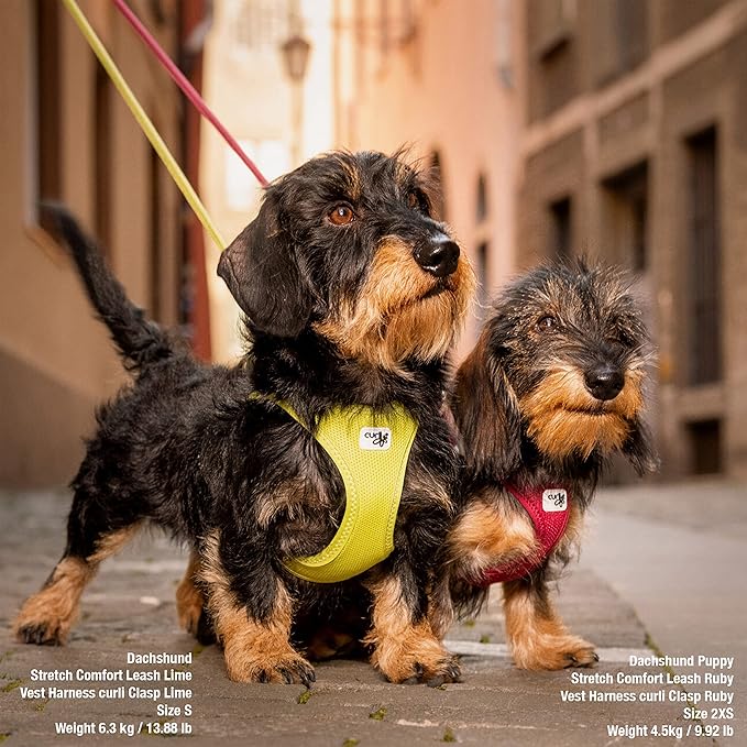 Vest Harness curli Clasp Air-Mesh Ruby XS