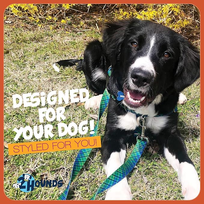 2 Hounds Design - Freedom No-Pull Harness & Training Leash in Green and Blue | Dual Leash Loops, No Pulling on Walks | Lined to Prevent Chaffing | for Small Sized Dogs (Size S, Chest 20”- 24”)
