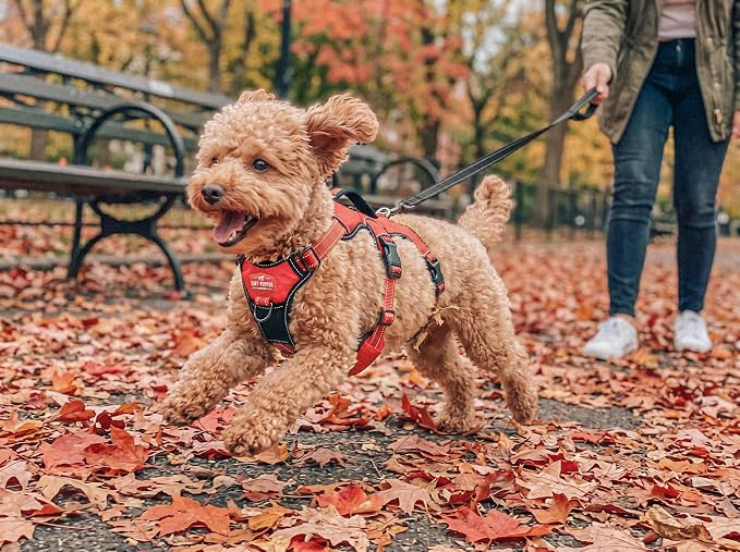 Tuff Pupper Escape Proof No Escape Dog Harness | 5 Point Adjustable Fit Harness for Dogs | Padded Dog Harnesses | Handle Dog Lift Harnesses