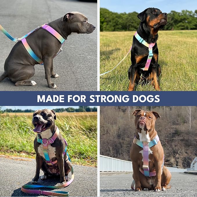 Spark Paws Comfort Control No Pull Dog Harness - Heavy Duty Front Clip | Safety Tested for Strong Breeds, w/ Metal Buckle & Top Handle – Padded Y-Straps Redirect Pulling. Solo or Matching Leash Set