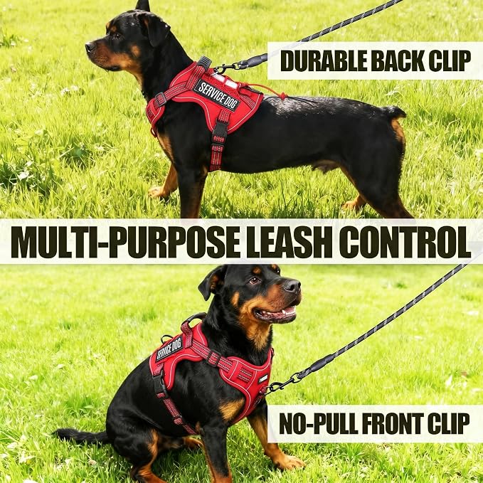 3-in-1 Dog Vest Harness Leash Set for Daily,Service,Training Animal Small