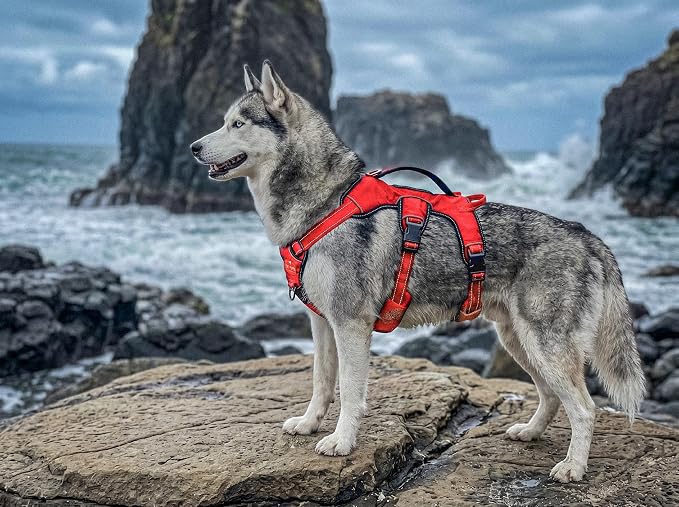 Tuff Pupper Escape Proof No Escape Dog Harness | 5 Point Adjustable Fit Harness for Dogs | Padded Dog Harnesses | Handle Dog Lift Harnesses