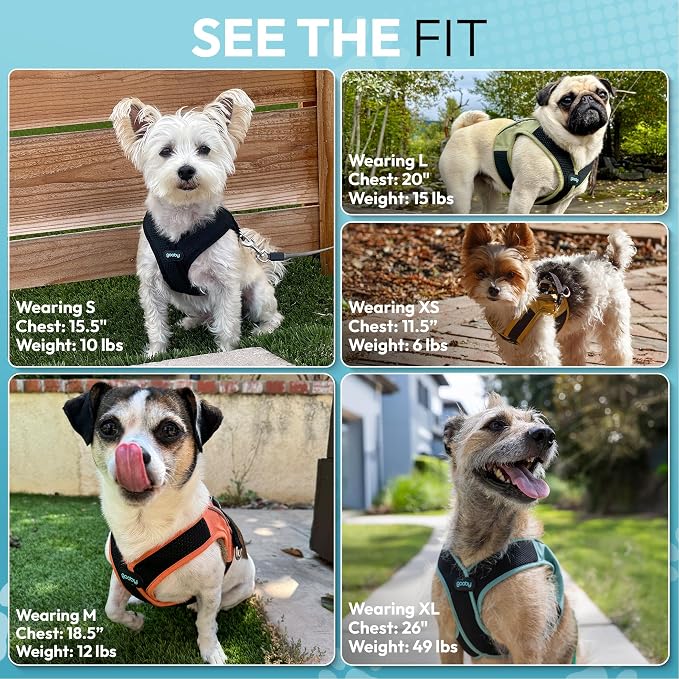 Gooby Escape Free Easy Fit X Step-in Dog Harness, Vegas Black, Large | Patented escape-free, tightens on back-out; Choke-free X-frame + V-neck; Quick-release buckle; Reflective trim