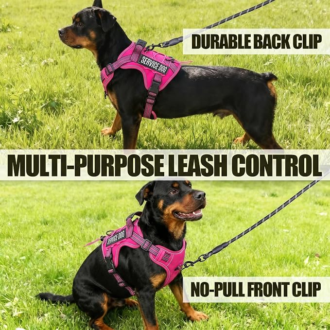 3-in-1 Dog Vest Harness Leash Set for Daily,Service,Training Animal Large