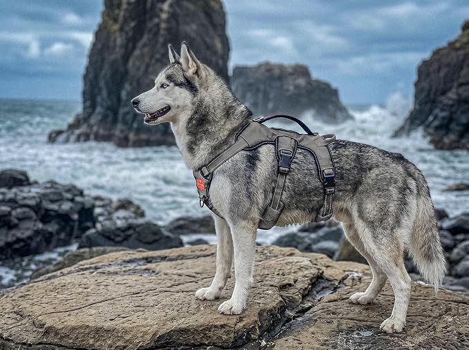 Tuff Pupper Escape Proof No Escape Dog Harness | 5 Point Adjustable Fit Harness for Dogs | Padded Dog Harnesses | Handle Dog Lift Harnesses