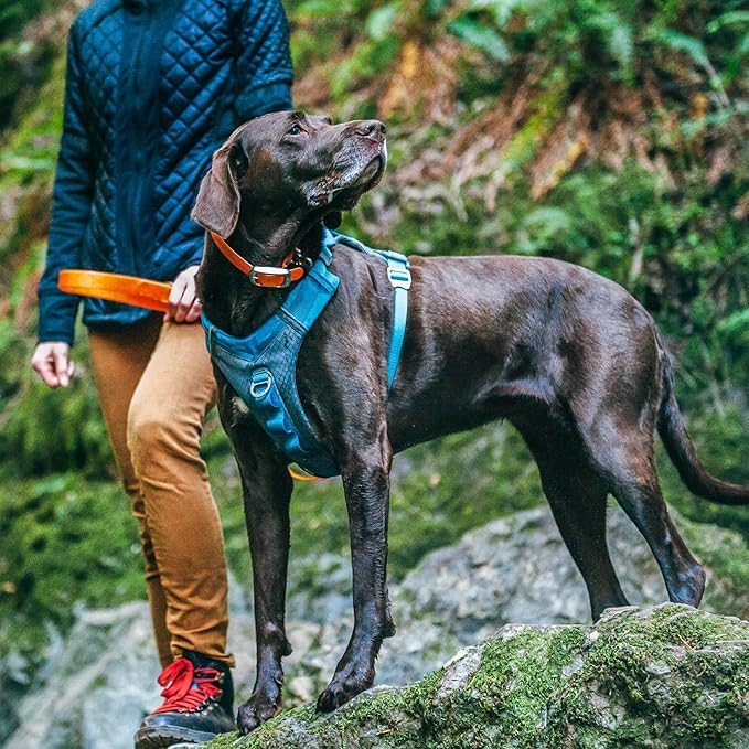 Kurgo Journey Air Dog Harness, Coral, Medium | Padded Chest, Ripstop Outer & Breathable Mesh, Back Assist Handle, Rust-Free Aluminum Hardware, Reflective Trim