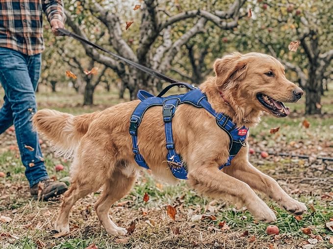 Tuff Pupper Escape Proof No Escape Dog Harness | 5 Point Adjustable Fit Harness for Dogs | Padded Dog Harnesses | Handle Dog Lift Harnesses