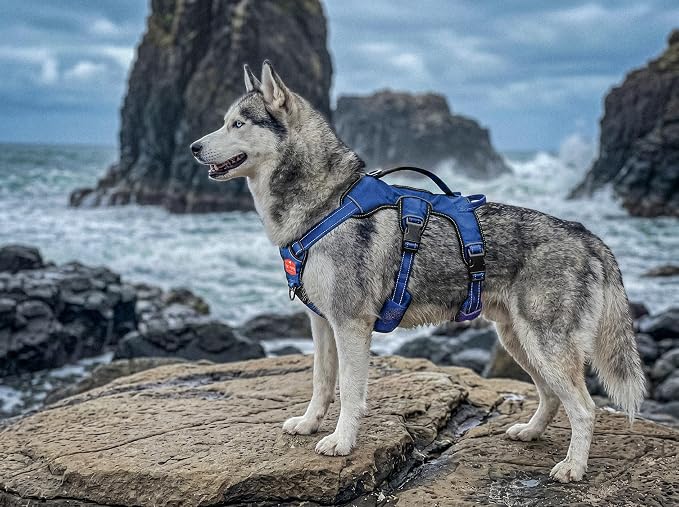 Tuff Pupper Escape Proof No Escape Dog Harness | 5 Point Adjustable Fit Harness for Dogs | Padded Dog Harnesses | Handle Dog Lift Harnesses