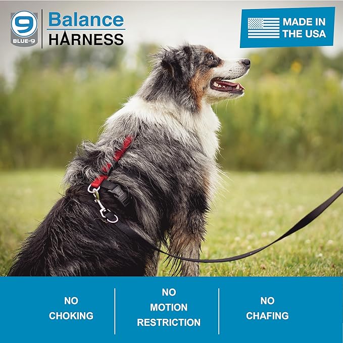 Blue-9 Buckle-Neck Balance Harness, Fully Customizable Fit No-Pull Harness, Ideal for Dog Training and Obedience, Made in The USA, Purple, Medium