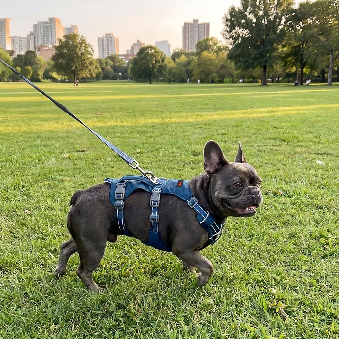 Tuff Pupper Escape Proof Dog Harness for Small Dogs | No Pull Lightweight Adjustable Harness | No Escape Multifunctional Outdoor Pet Gear | Strong Durable Breathable | Secure Comfortable Fit