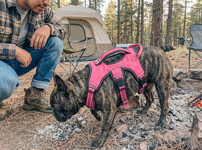 Tuff Pupper Escape Proof No Escape Dog Harness | 5 Point Adjustable Fit Harness for Dogs | Padded Dog Harnesses | Handle Dog Lift Harnesses