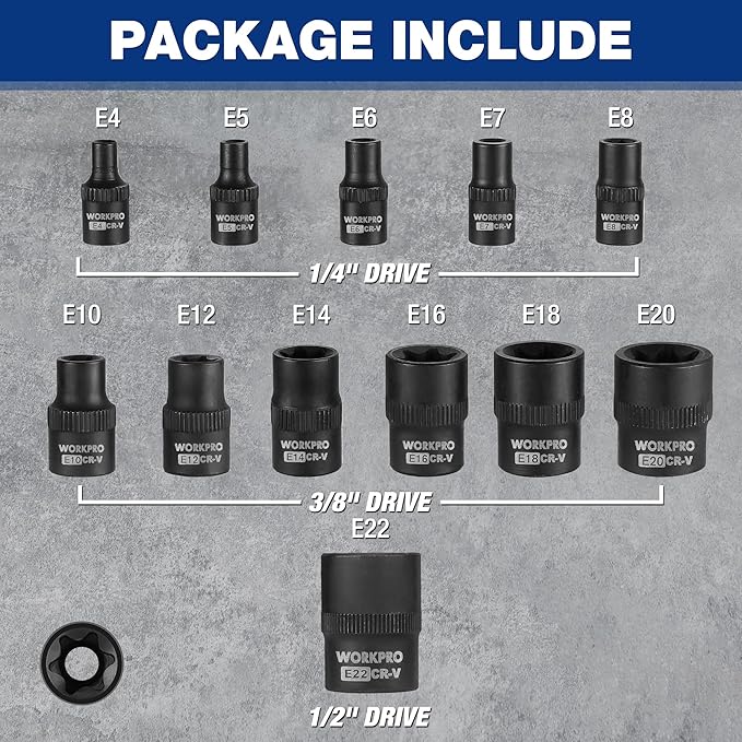 WORKPRO Torx Bit Set, 25-Piece E4-E22, T8-T60, External Torx Socket Set | 1/4", 3/8", 1/2" Drive Bits, E4-E22 e Socket Set, T8-T60 Torx Socket Set, S2 Steel Bits, CR-V Sockets, Storage Case