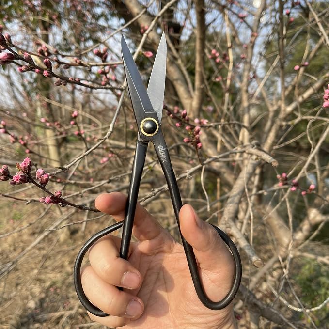 8 Inch Full-Steel Forged, Bonsai Small Branch Shears for Delicate Shoots and Leaves