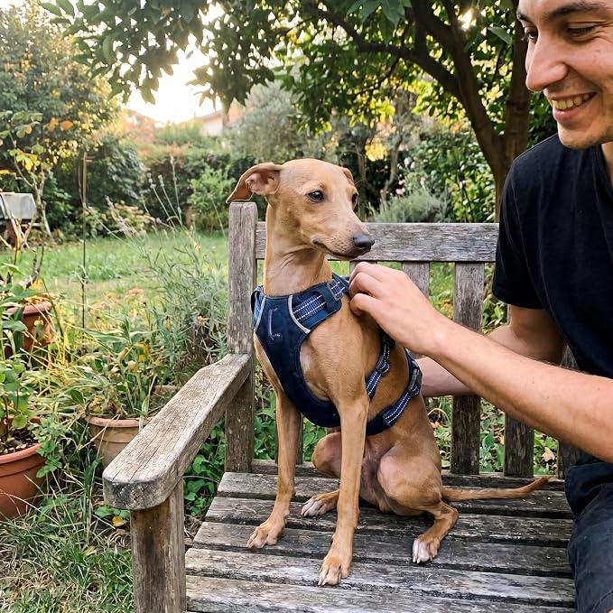 Tuff Pupper Escape Proof Dog Harness for Extra Small Dogs | No Pull Lightweight Adjustable Harness | No Escape Multifunctional Outdoor Pet Gear | Strong Durable Breathable | Secure Comfortable Fit