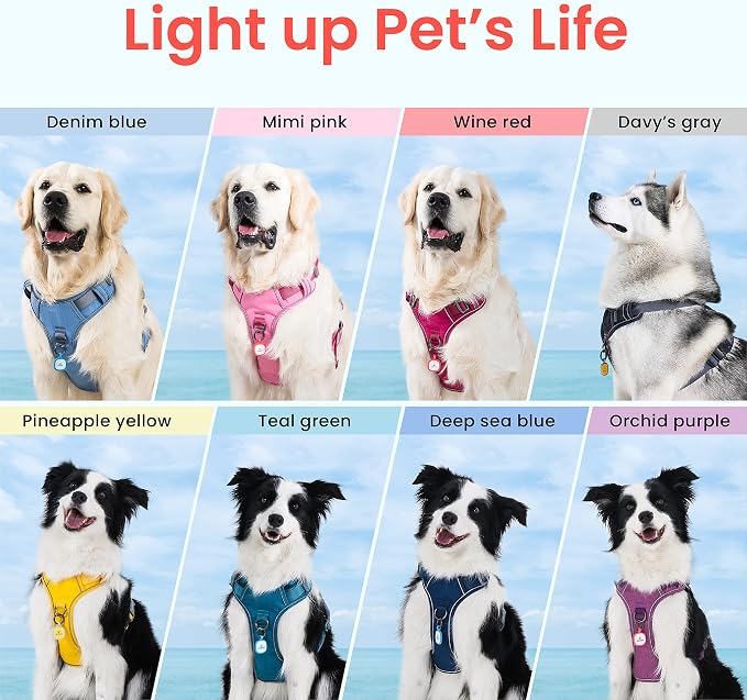 Pawaii No Pull Dog Harness with Pet ID Tag, Reflective Vest | Built for safer walks with a QR Pet ID Tag, front no pull clip, reflective trim, control handle and breathable mesh lining
