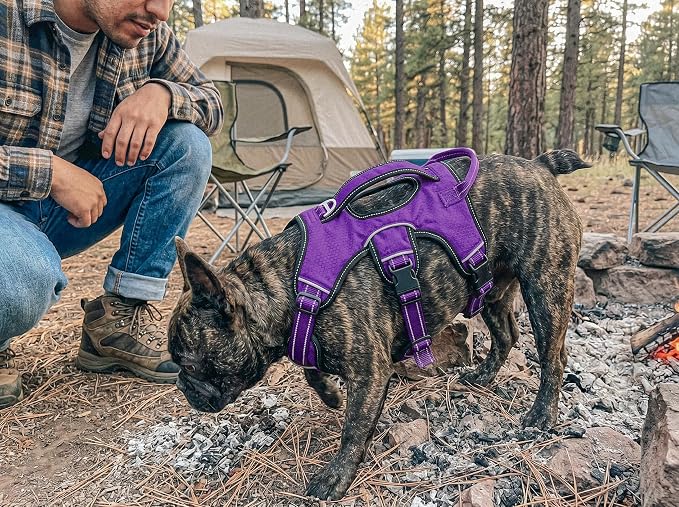 Tuff Pupper Escape Proof No Escape Dog Harness | 5 Point Adjustable Fit Harness for Dogs | Padded Dog Harnesses | Handle Dog Lift Harnesses