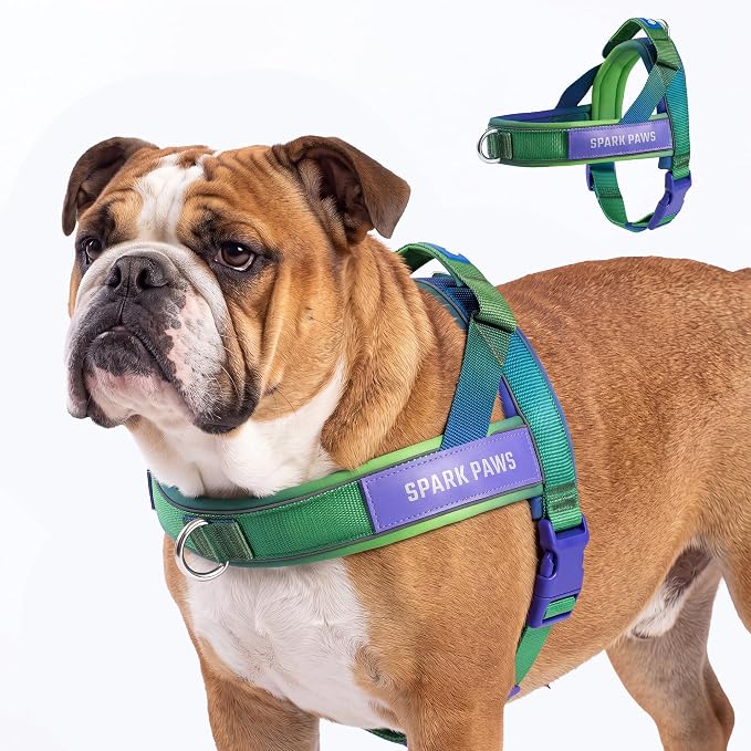 Spark Paws No Pull Front Clip Dog Harness - Easy On, Padded and Lightweight | Two Clips, On in Seconds, Chest Bearing, Australian Style, No Throat Pressure, for Small Medium and Large Breeds