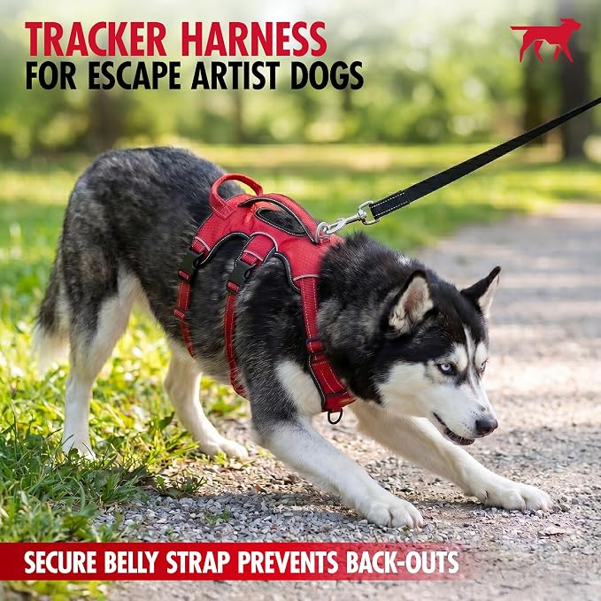 Tuff Pupper Tracker No Escape Dog Harness, Dual Attachment Points, Reflective 3M Stitching, XS - XL, March Red