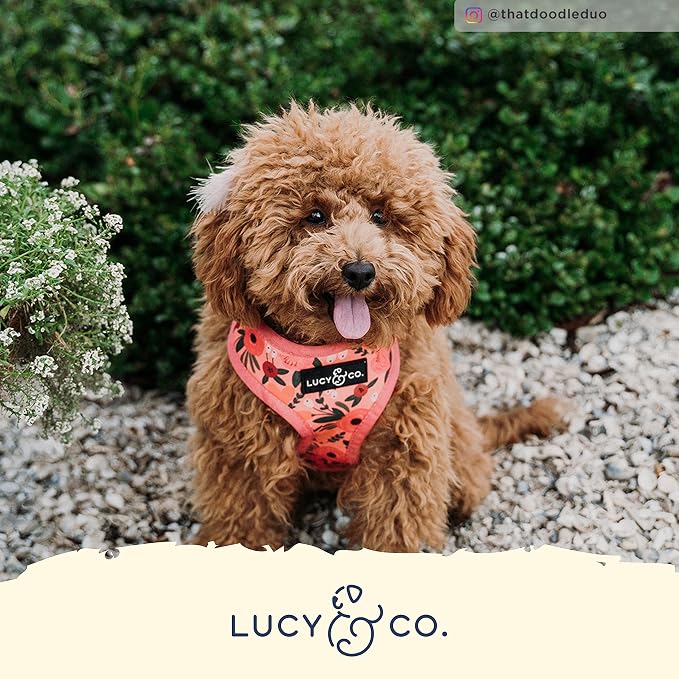 Lucy & Co. Reversible Dog Harness - Water-Repellent Neoprene, Dual-Print Design, Easy Swap Style, Adjustable Comfort Fit - Posy Pink Reversible Harness - X-Large