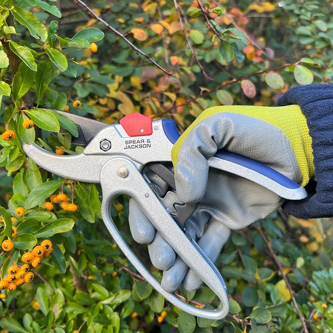 Spear & Jackson Razorsharp Geared Anvil Pruning Shears, Heavy Duty Garden Clippers for Thick Branches, Non-Slip Ergonomic Handles, Durable Steel Blades