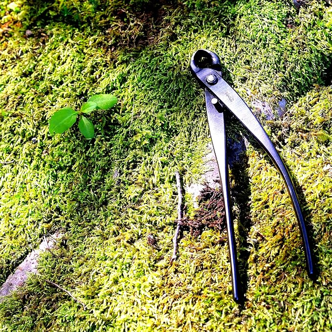 KAKURI Bonsai Knob Cutter 6.8" (175 mm) Professional Bonsai Tool, Japanese Carbon Steel, Concave Curved Blade, Black, Made in JAPAN