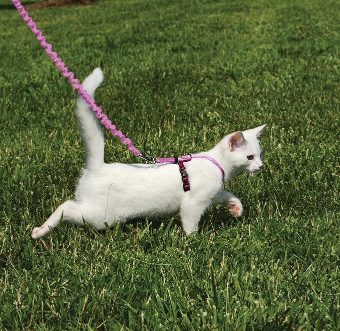 PetSafe Come with Me Kitty Harness and Bungee Cat Leash, Dusty Rose, Small | Adjustable 2-Point Fit Applies Gentle Pressure to Shoulders, Not Neck, for Kittens and Small Cats with 9 in - 11 in Girth