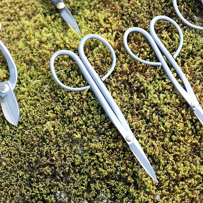 KAKURI Bonsai Twig Shears Made in Japan 8", Japanese Stainless Steel Blade, Precision Bonsai Scissors for Fine Pruning and Trimming