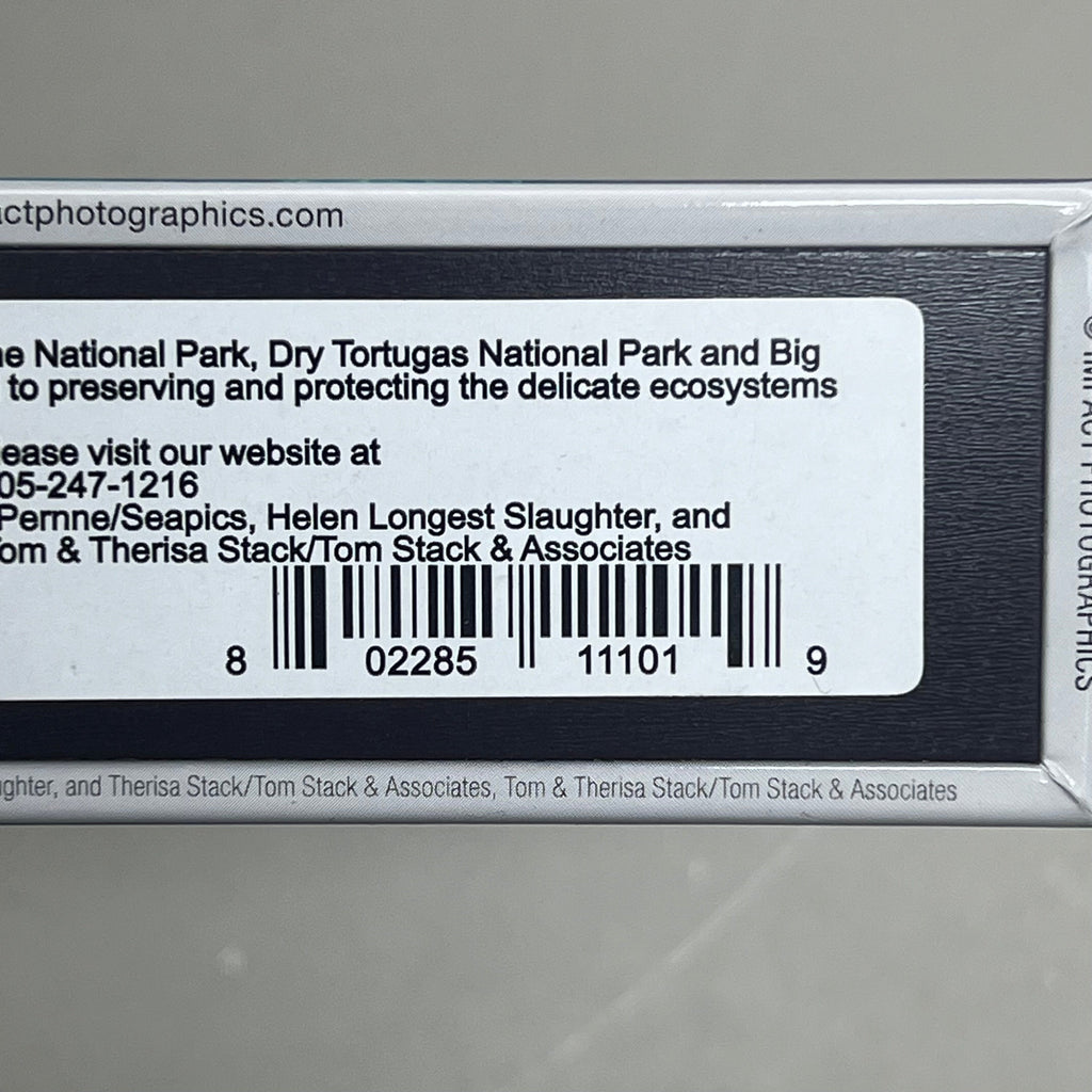 MAGNET (10 PACK) South Florida National Parks 5"x2" Multicolor