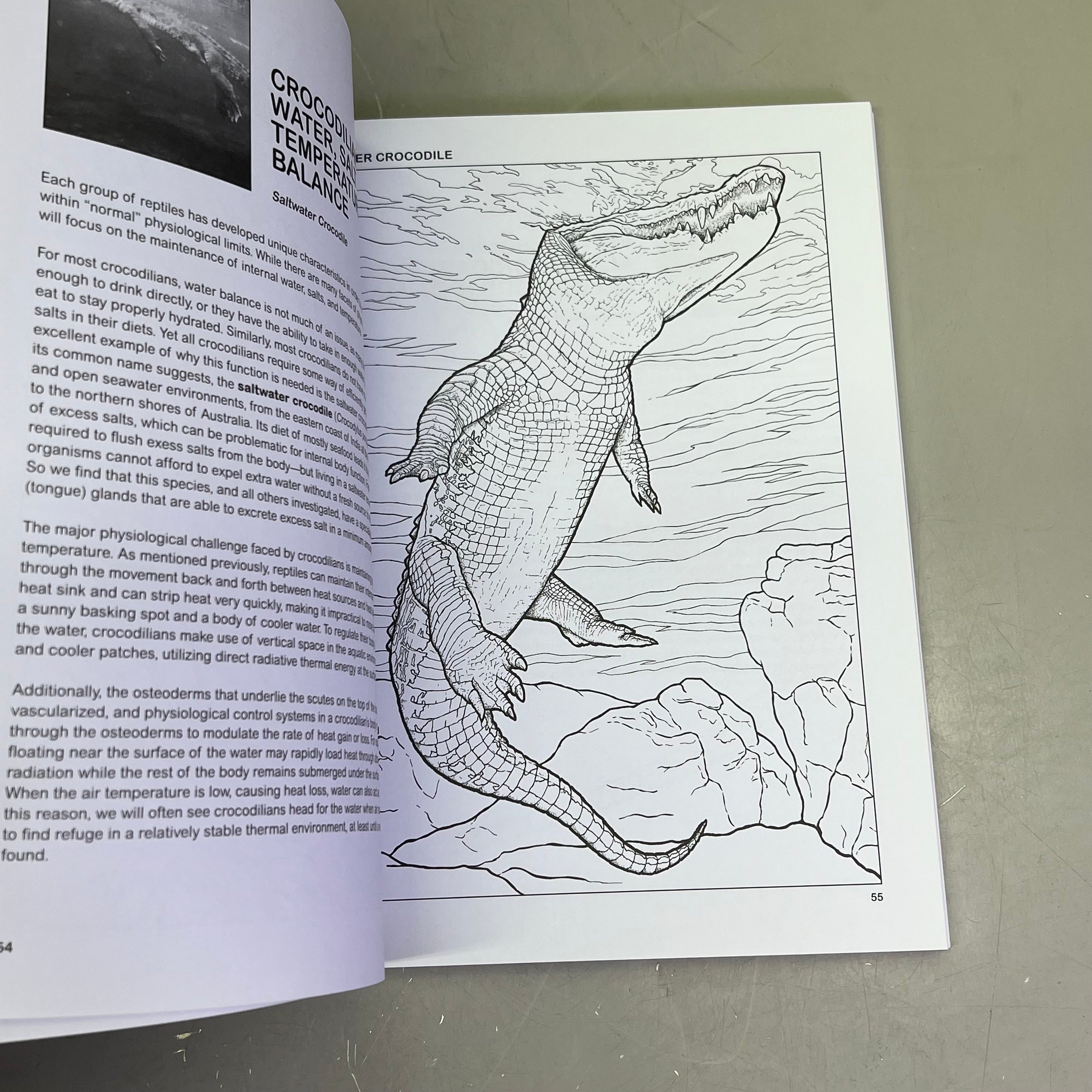 THE RETILES COLORING BOOK Science & Anatomy Paperback Coloring Activity Book