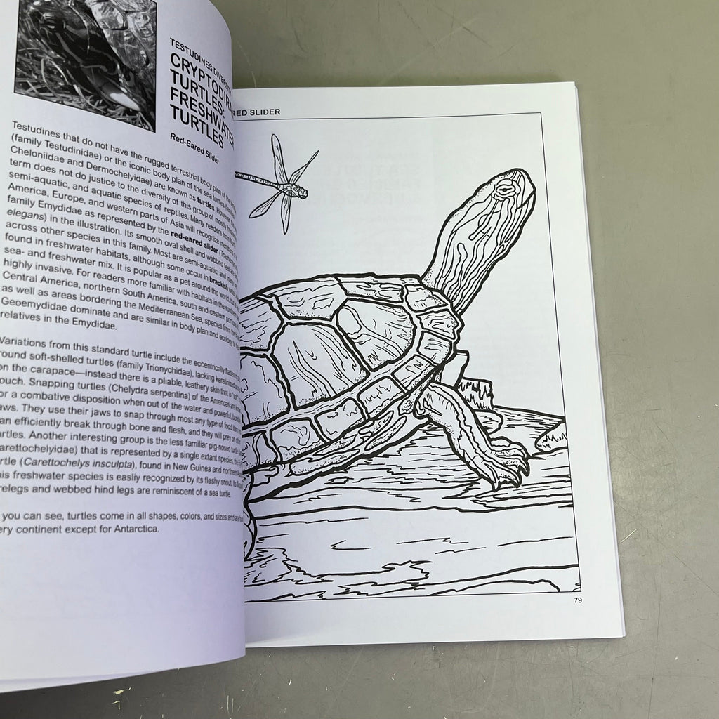 THE RETILES COLORING BOOK Science & Anatomy Paperback Coloring Activity Book