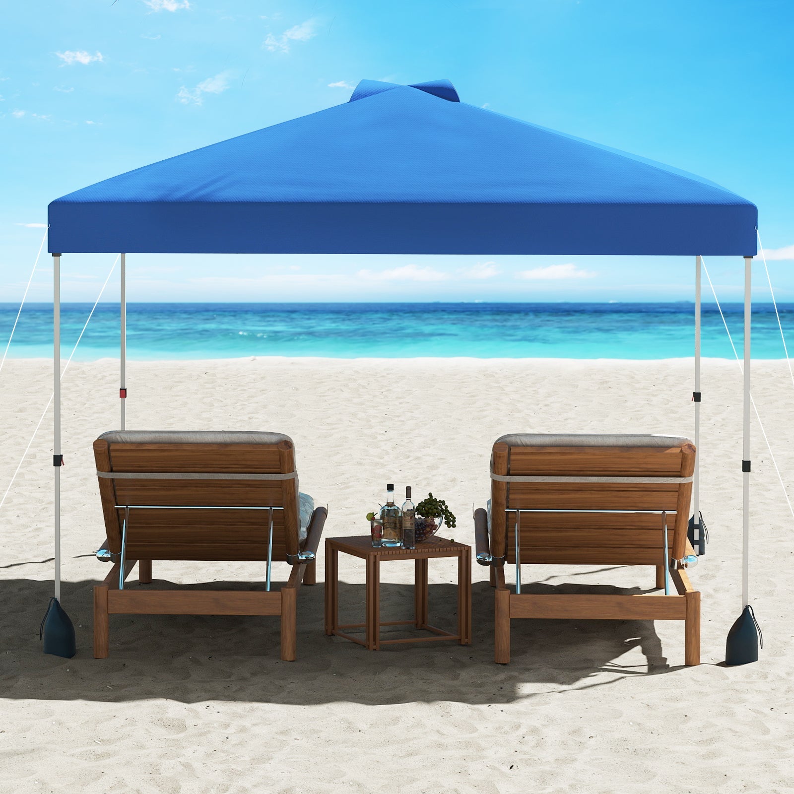 10 X 10 FT Pop up Canopy Tent with 1 Sidewall and Wheeled Bag